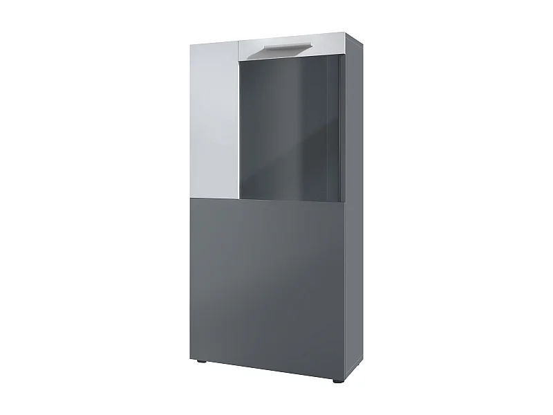 Vitrine Stream, Vitrine sur Pied/Murale avec 1 Grande Porte et 2 Compartiments Spacieux, anthracite mat/blanc mat ( 50,5 x 111 x 32,5 cm)