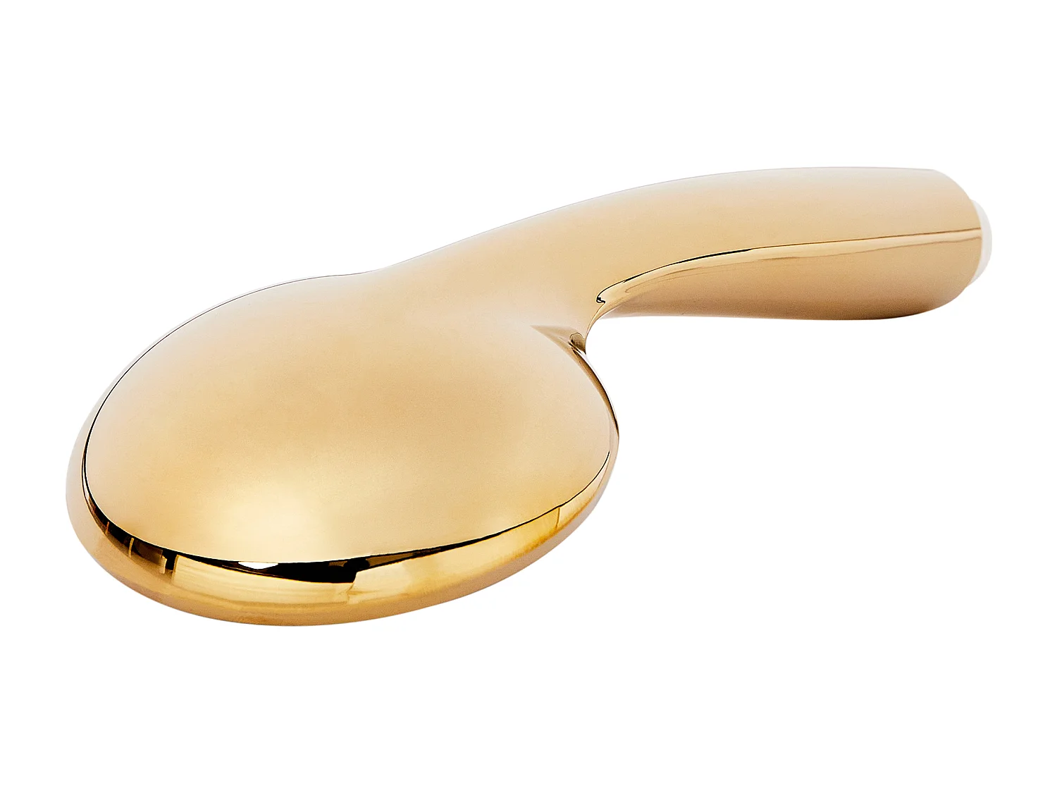 Kit de pommeau de douche avec tuyau flexible MACAY 3 modes Doré