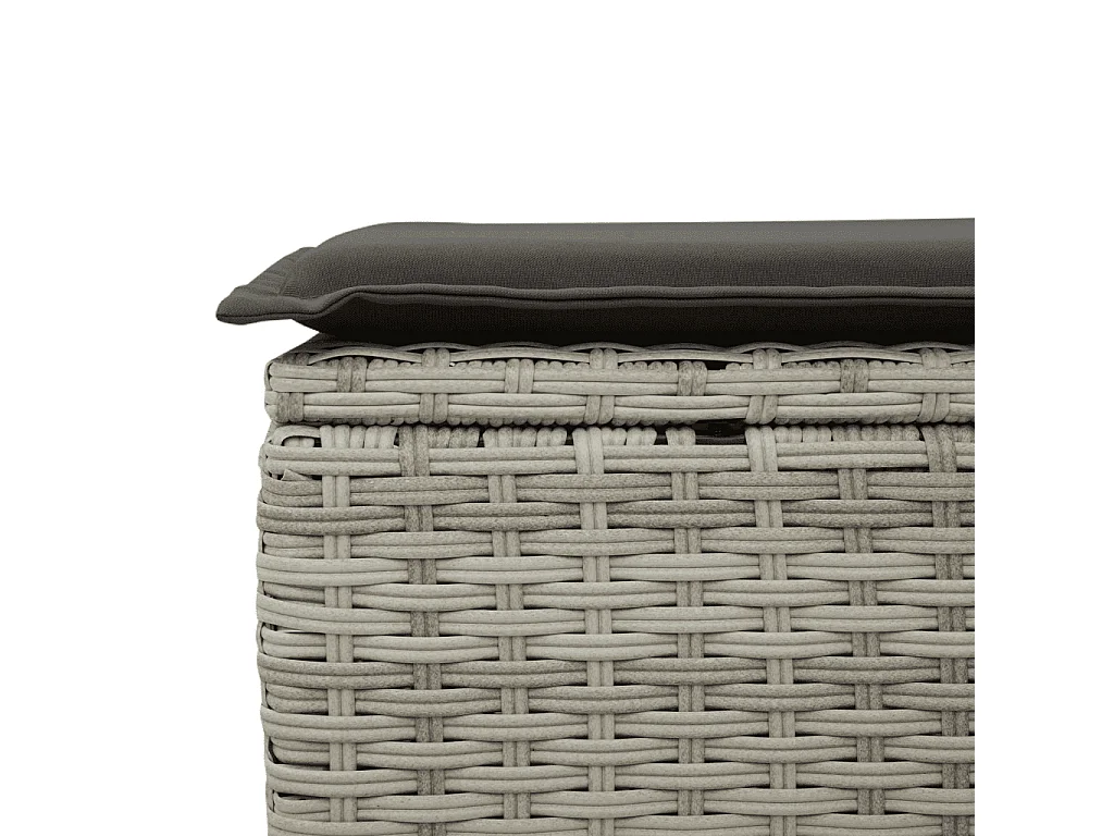 Salon de jardin avec coussins 12 pcs gris clair résine tressée
