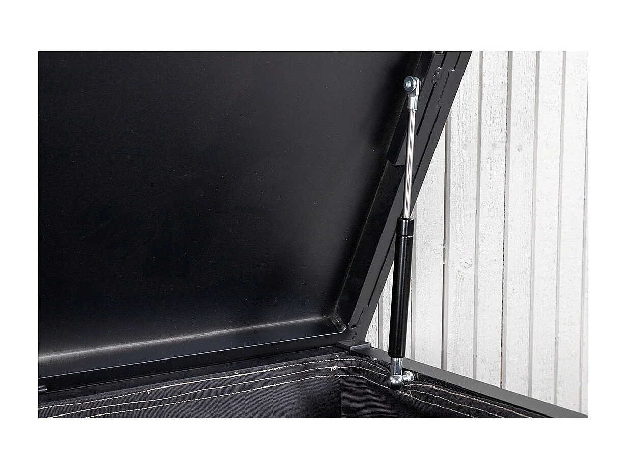 Elsacoffre de coussins noir.