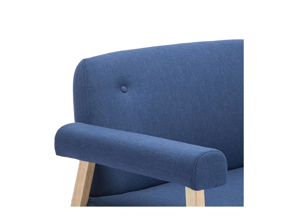 Divano 2 posti per soggiorno soggiorno interno casa tessuto blu 02_0020618