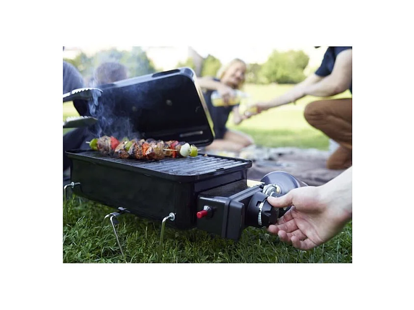 Barbecue à Gaz Go-Anywhere Noir Weber 1141056