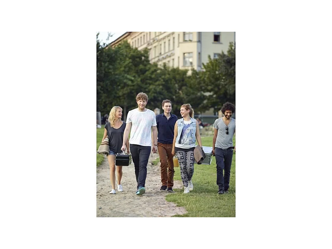 Barbecue à Gaz Go-Anywhere Noir Weber 1141056