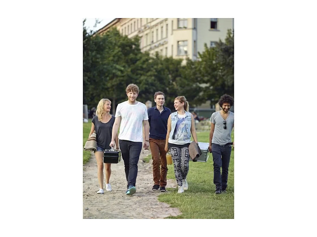 Barbacoa de Gas Go-Anywhere Negro Weber 1141056