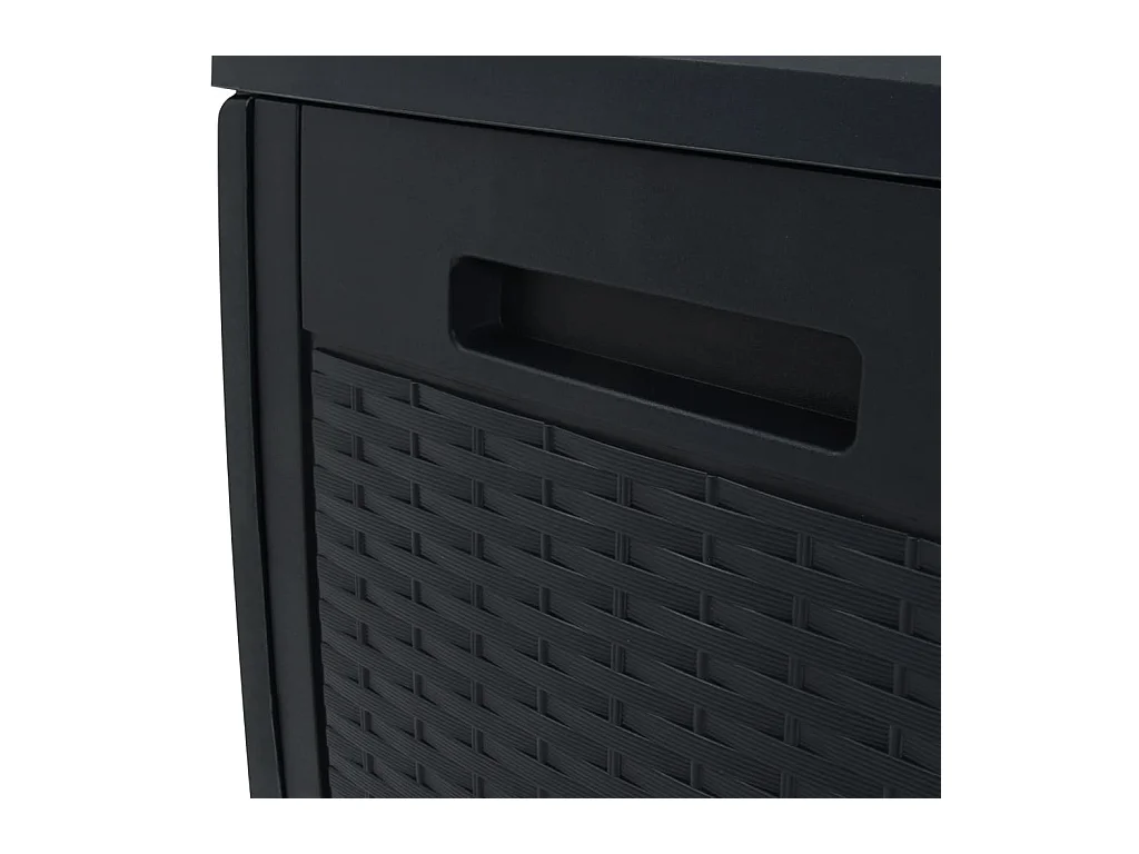 Caja de almacenamiento de jardín 119 x 48 x 60 cm antracita polipropileno 02_0013141