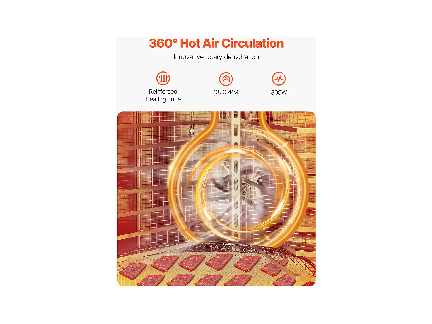 Suszarka do Żywności SucceBuy Obrotowa Suszarka do Żywności, 12 Tac, Stal Nierdzewna, 800 W, do Suszenia Owoców