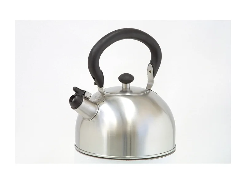 Bouilloire sifflante inox 2.5L