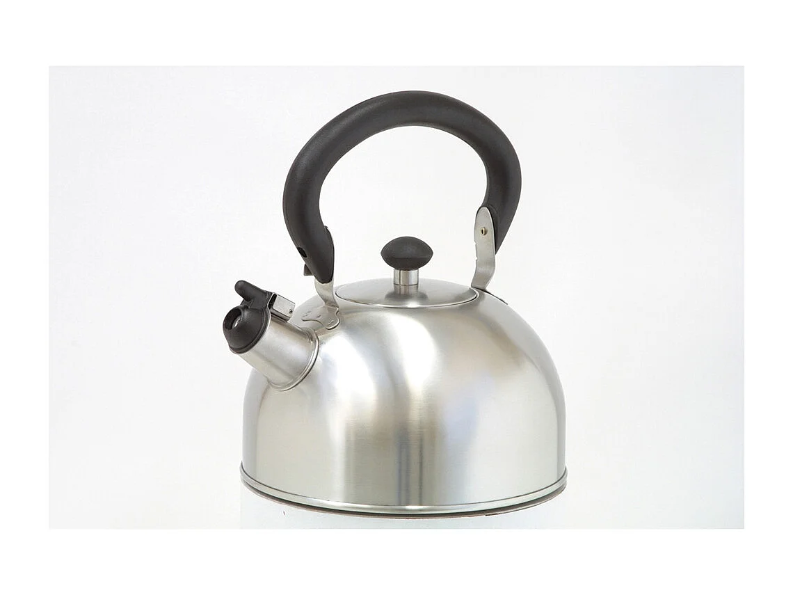 Bouilloire sifflante inox 2.5L