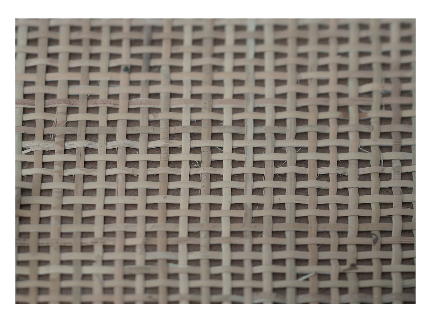 Szafka na buty MCW-N92,  Wygląd dębu