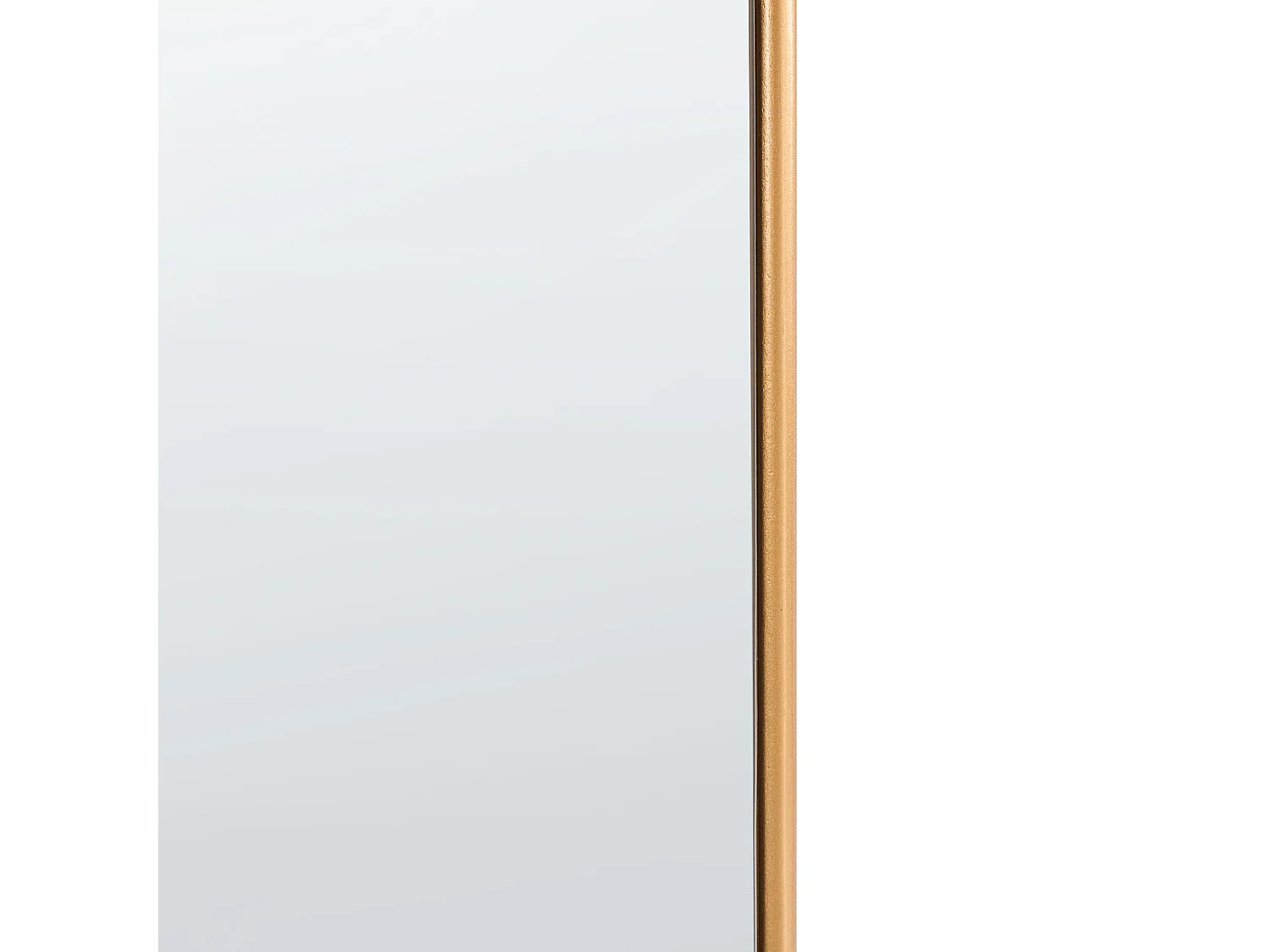 Miroir BRIEUC 50 cm 160 cm Doré