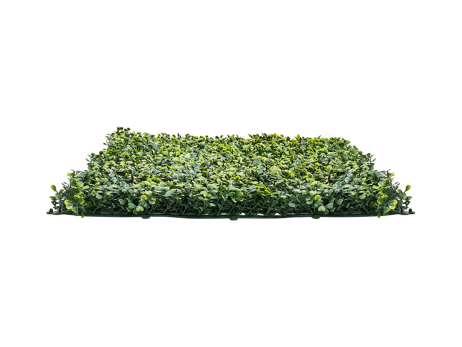 Pannelli in Erba Sintetica, SucceBuy Pannelli da Parete in Erba Sintetica 100 × 300 cm, Milan Greenery per Decorazioni Intime