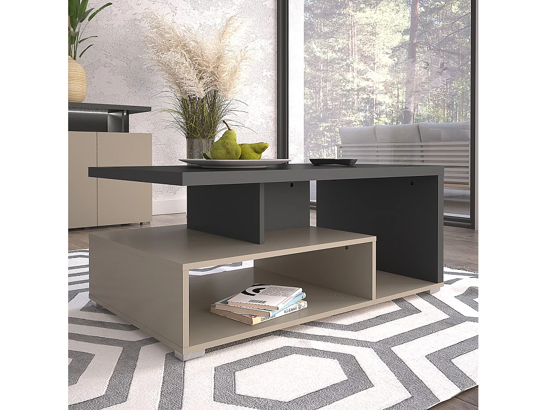 Table basse NESS – Plateau 100 x 60 cm – Finition Congo et anthracite – Design moderne