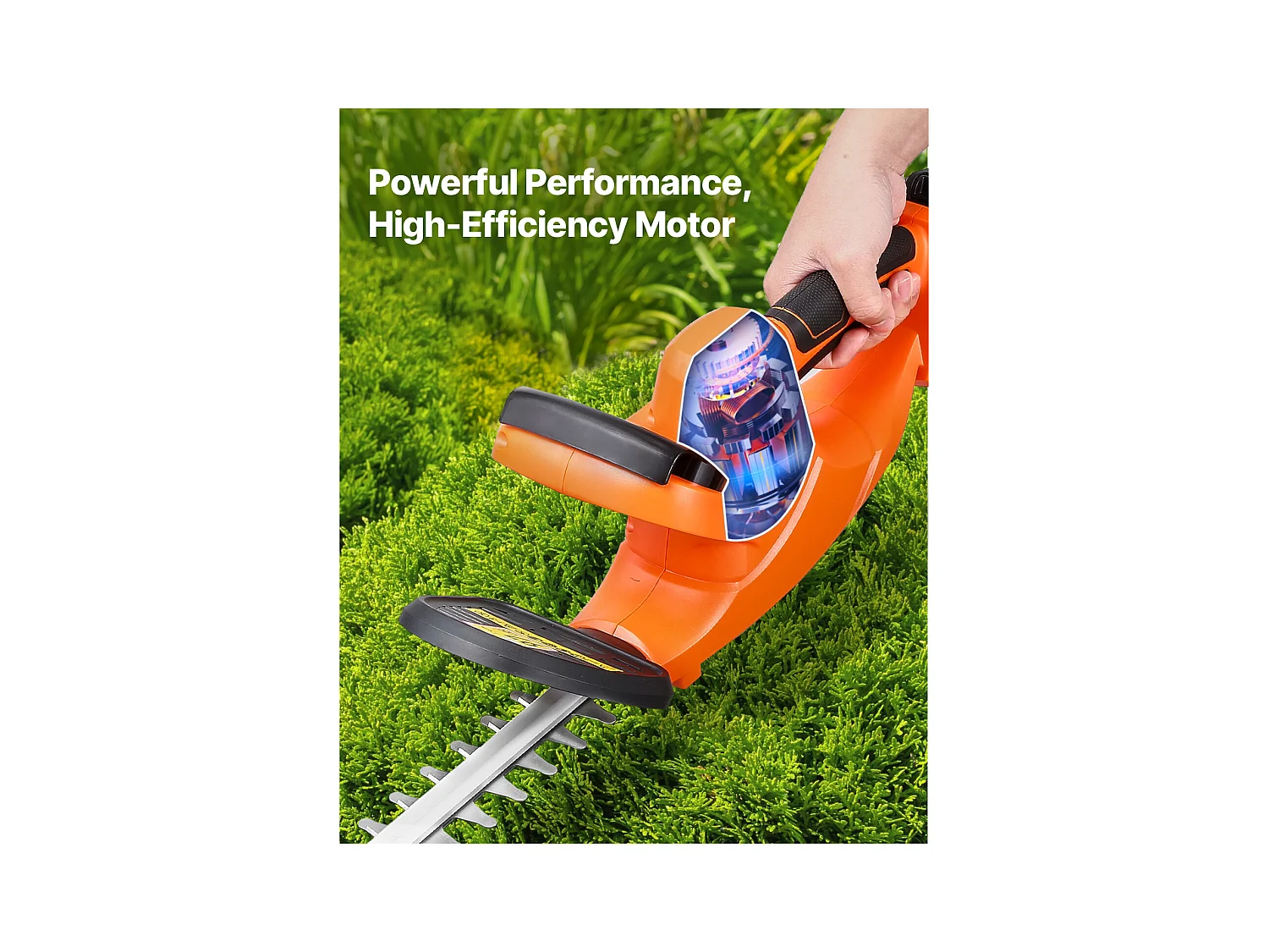 Taille-Haie Électrique SucceBuy Cisaille à Haie sans Fil avec Double Lame de 51 cm pour une Coupe Précise