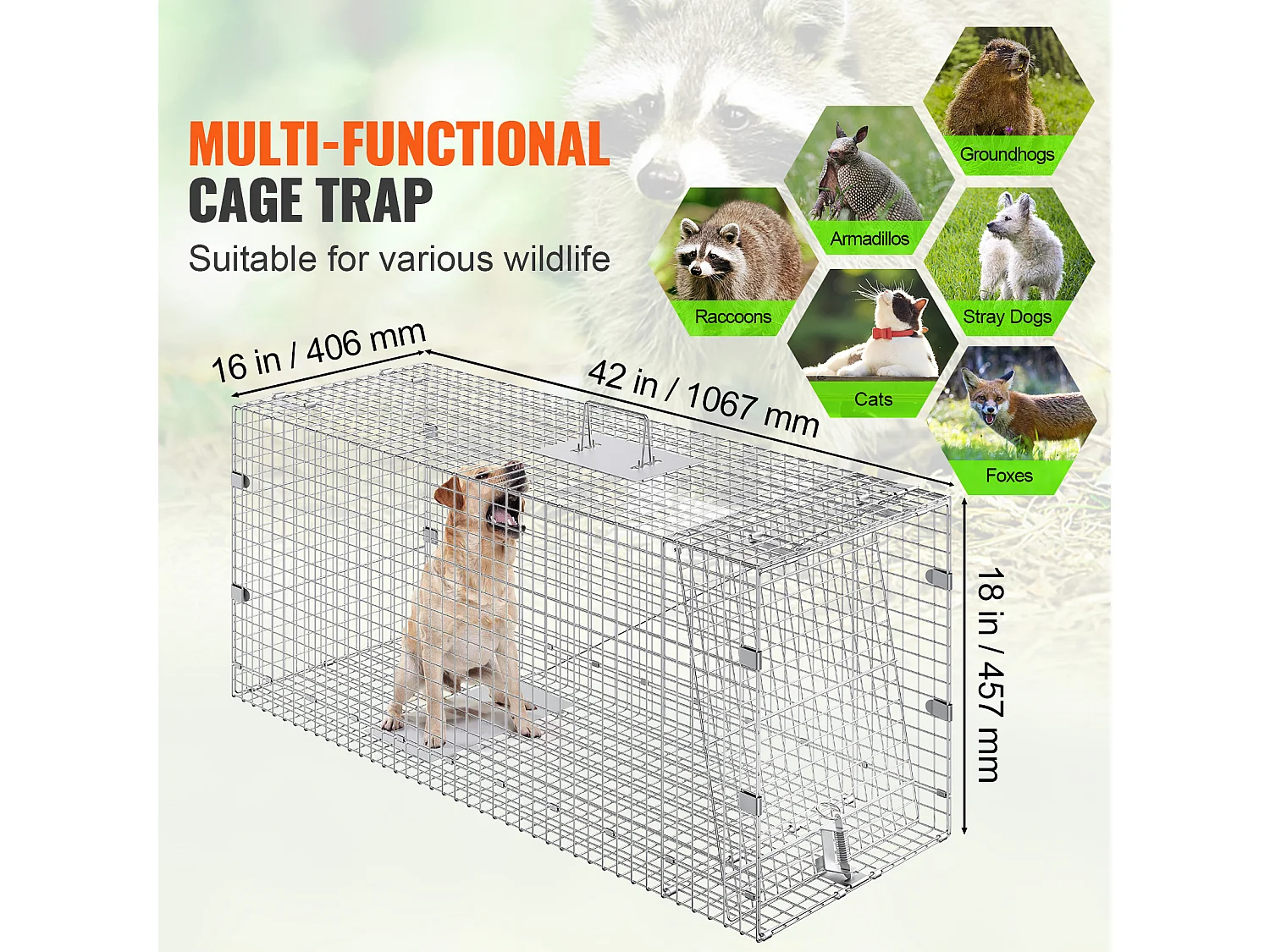 Piège à Cage pour Animaux Vivants SucceBuy 1067 x 406 x 457 mm Sans Cruauté pour Chats, écureuils