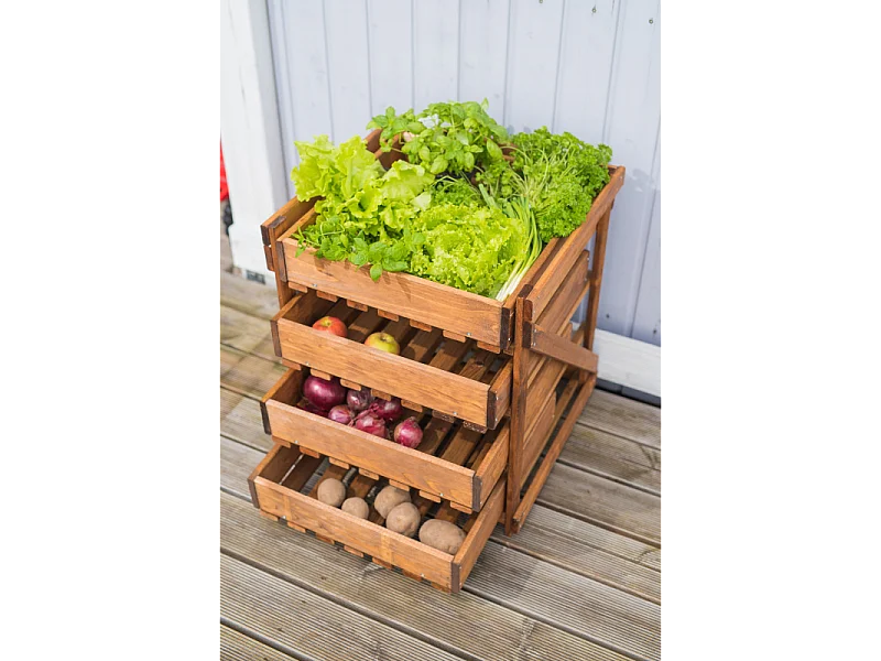 Cassettiera Orto Losa