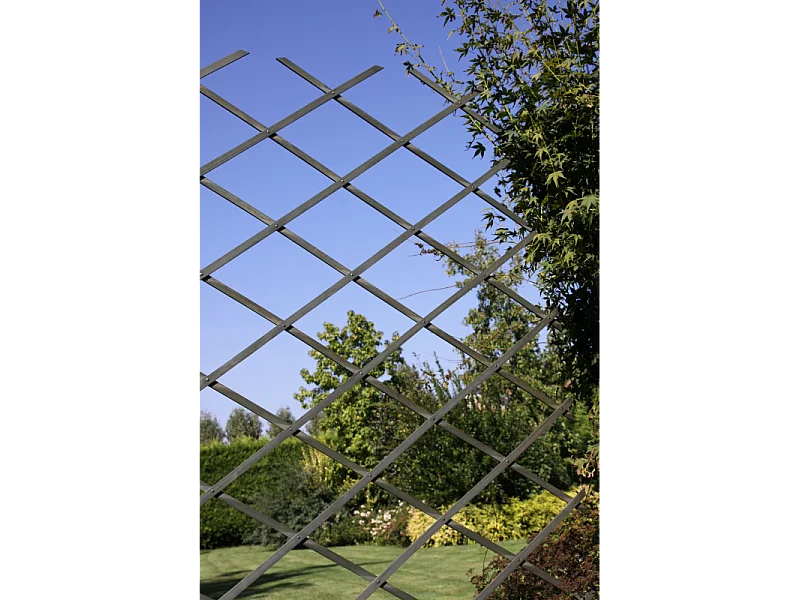 GRIGLIATO GELSOMINO O GLICINE ESTENDIBILE 180x45 cm - Gelsomino