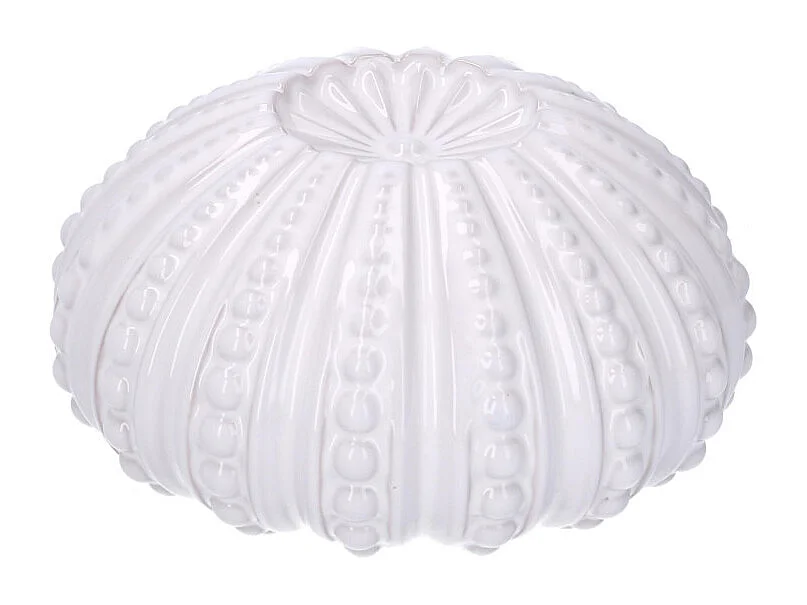 Riccio di mare ceramica bianco tondo cm ø18,1h9,3