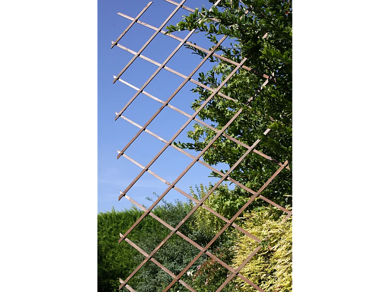 GRIGLIATO GELSOMINO O GLICINE ESTENDIBILE 180x45 cm - Glicine