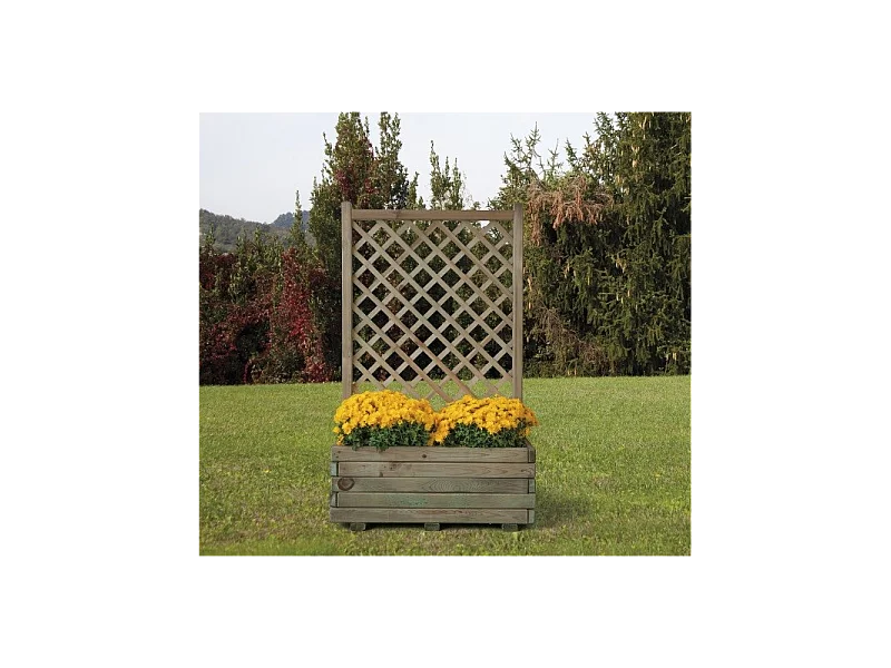 Composizione Margherita Cm 80X40X135 H. Losa