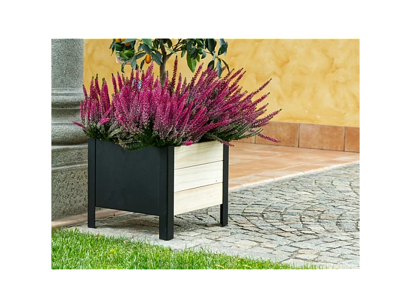 Fioriera Lavanda Cm 36X36X32H Losa