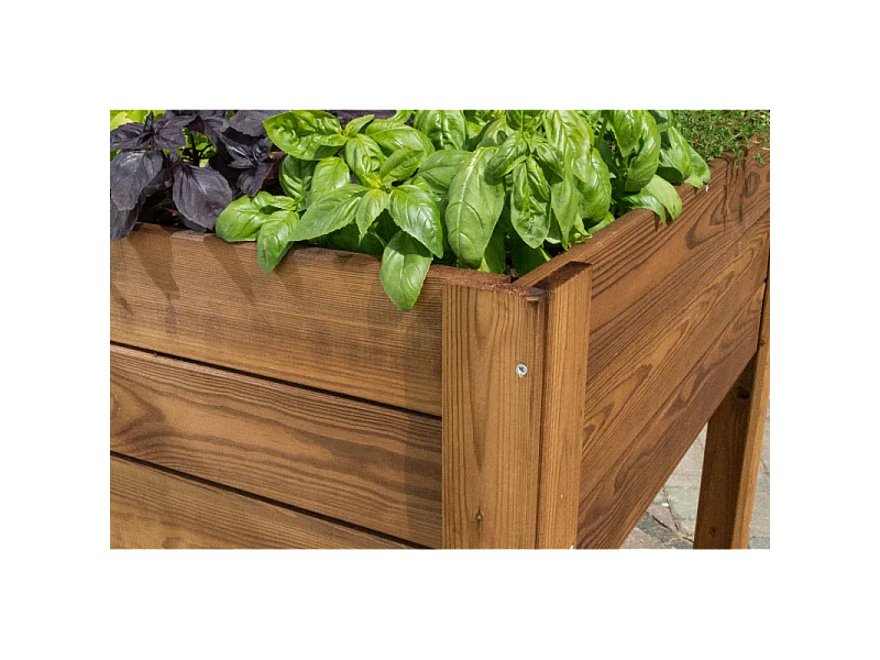 Orto Apple Medium Losa