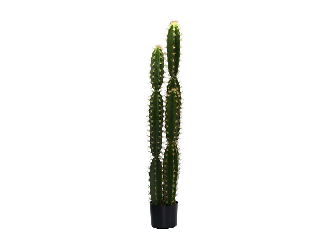 Pianta cactus con vaso tondo cmø18h124