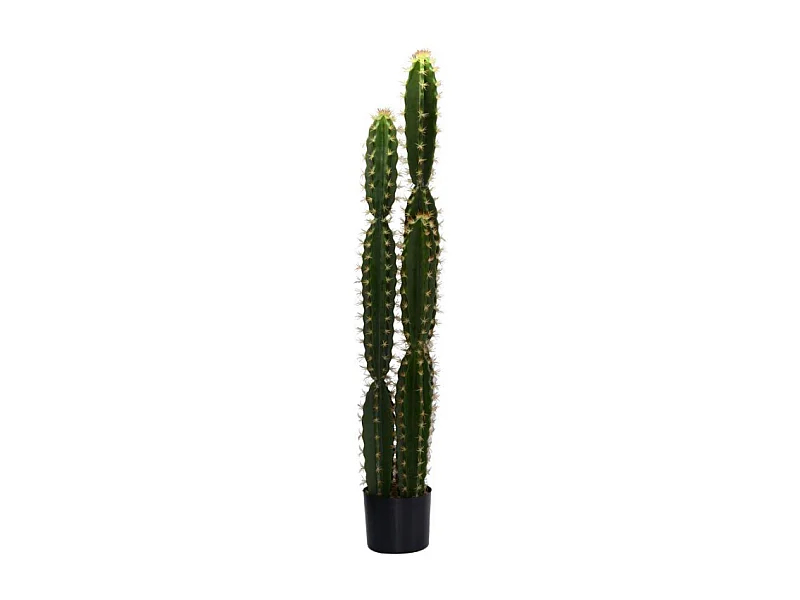 Pianta cactus con vaso tondo cmø18h124