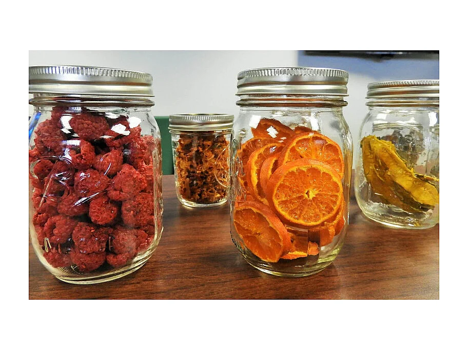 Essiccatore Alimentare - Temperatura 35°C/70°C - 245 Watt - Verde