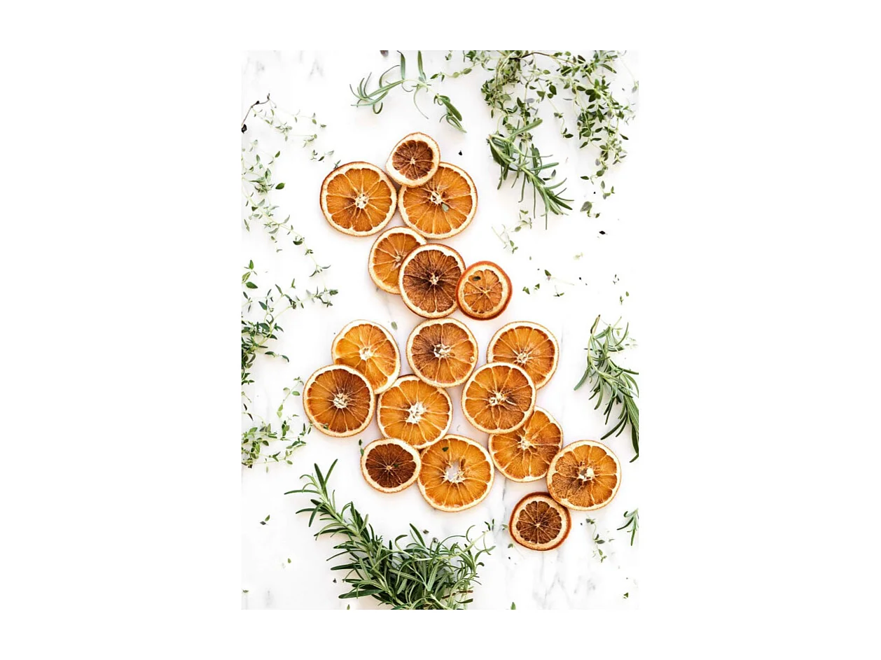 Essiccatore Alimentare - Temperatura 35°C/70°C - 245 Watt - Verde