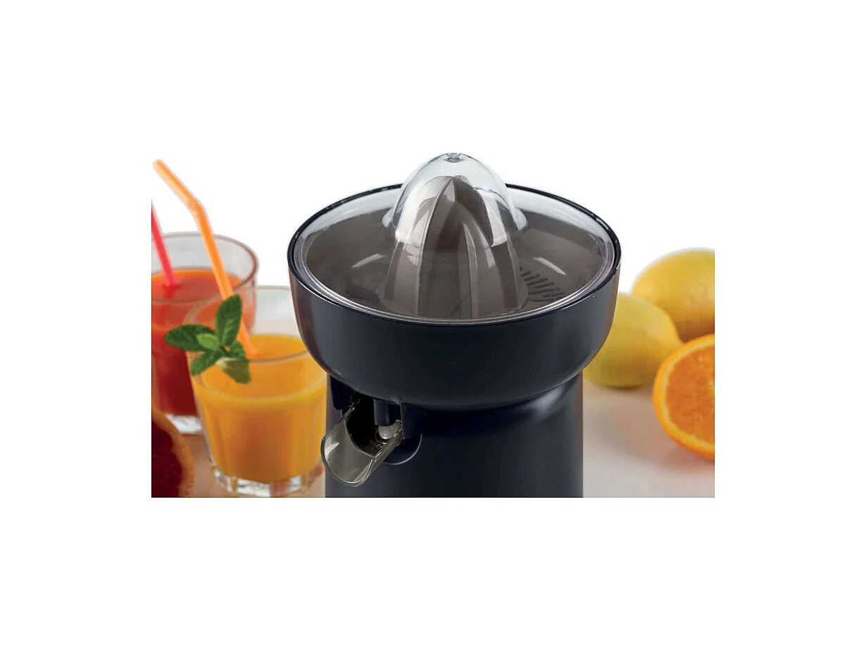 Ariete 0417/00 presse-agrume électrique 40 W Gris