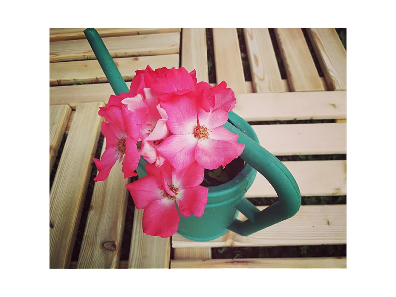 CONFEZIONE 4 PZ MATTONELLA IN LARICE dim 34x34x h4 cm