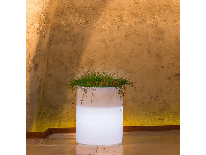 VASO LUMINOSO DELPHINUS 50 h CON LED MULTICOLOR E BATTERIA SOLARE