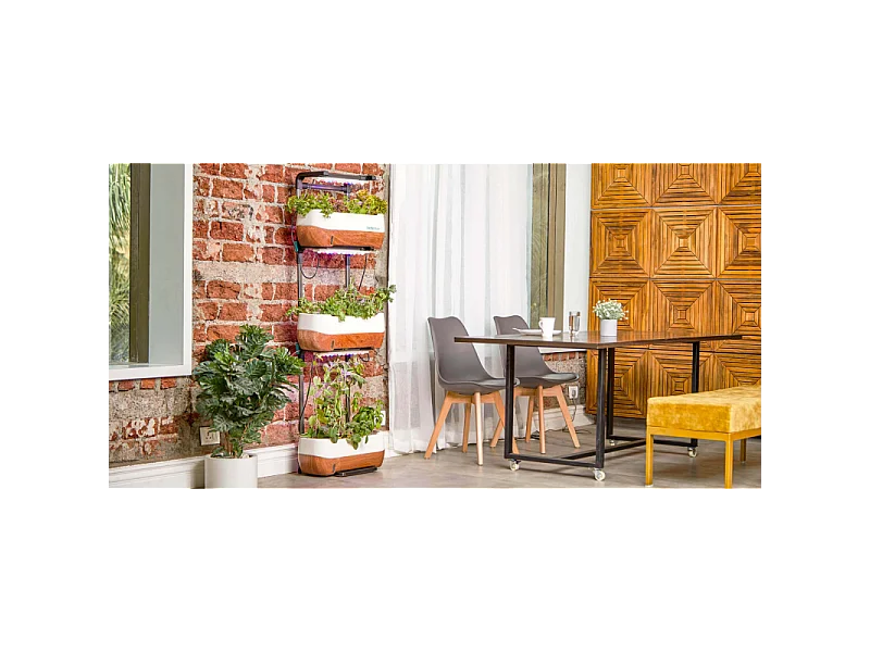 Set di 4 SEDIE MARSIGLIA