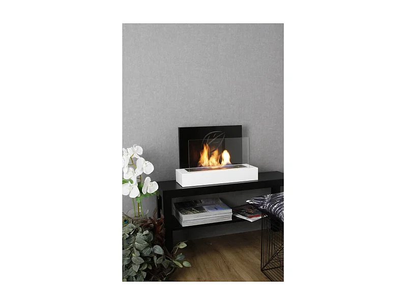 Camino Maya a bioetanolo