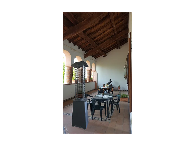 Iris fungo riscaldante a bioetanolo da esterno con ruote