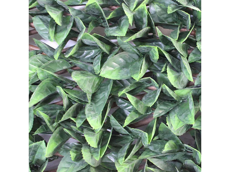 SIEPE SINTETICA PITOSFORO