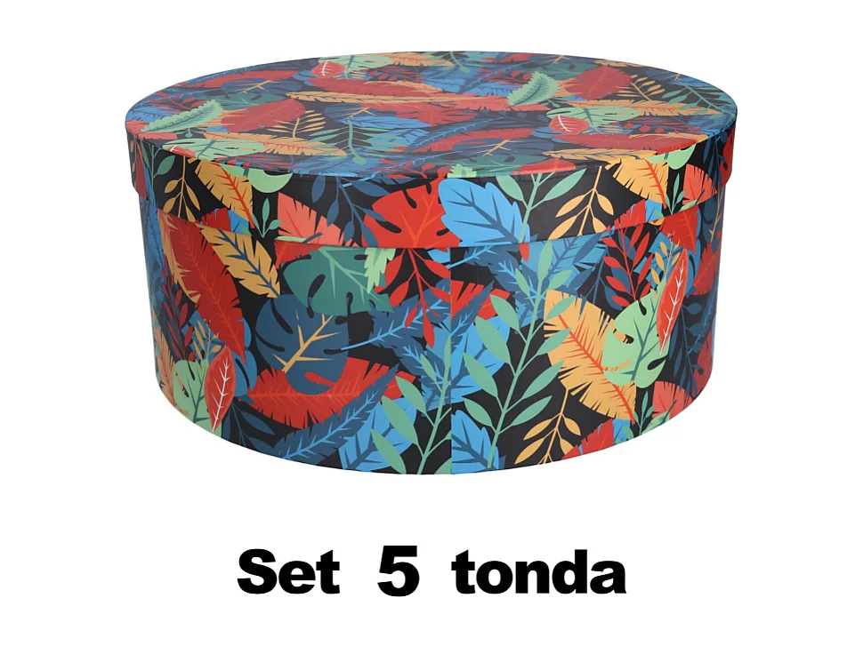 Scatola cartone 1-5 piume multicolor tondo cm ø40,5h17,8