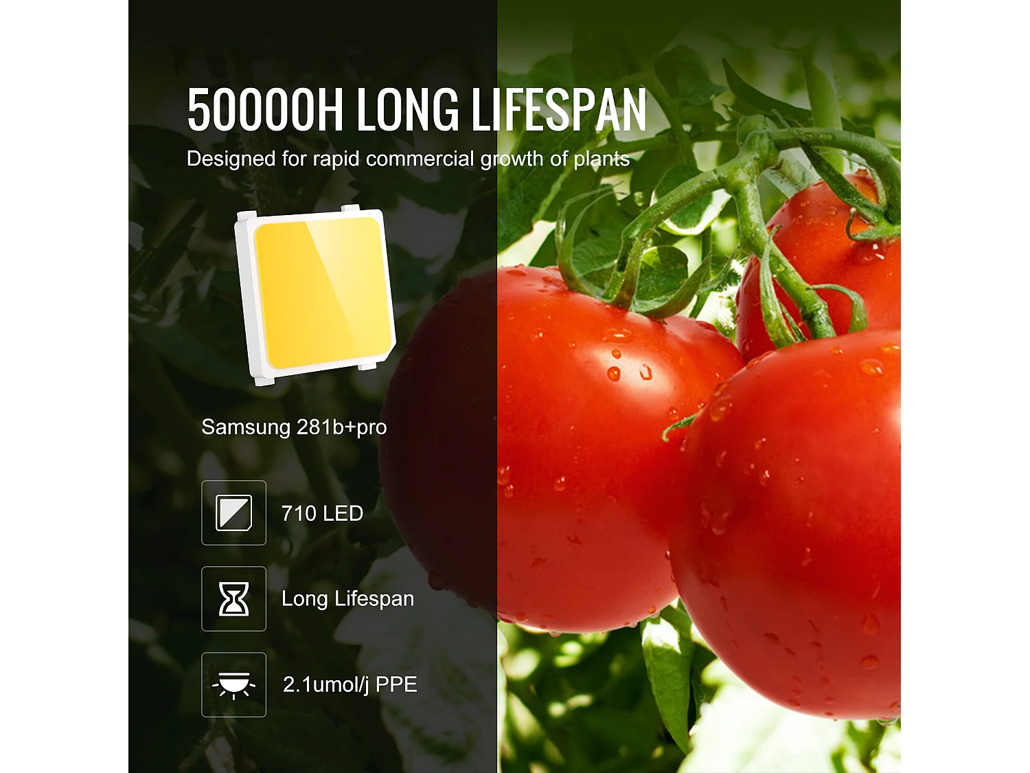 Lampe de Croissance à LED SucceBuy 300 W, Diodes Samsung à Intensité Variable, pour Plantes d'Intérieur, Semis, Végétation, Floraison, Pilote en Guirlande