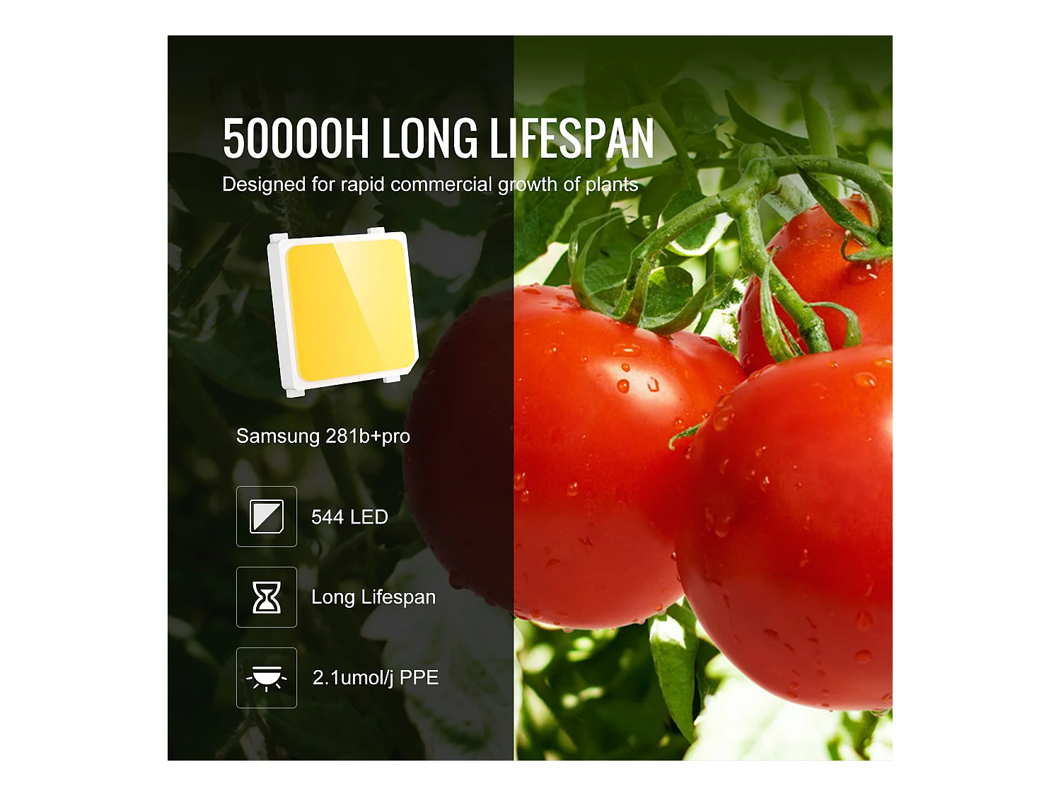 Lampe de Croissance à LED SucceBuy 200 W, Diodes Samsung à Haut Rendement pour Plantes d'Intérieur, Semis, Végétation et Floraison, Culture en Serre