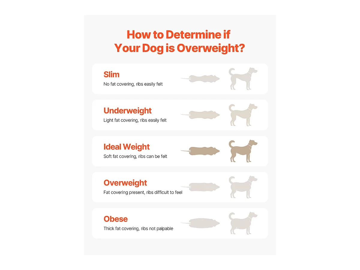 Tapis de Course pour Chiens de Taille Moyenne SucceBuy, Tapis de Course Électrique pour Animaux de Compagnie, pour l'Entraînement d'Agilité