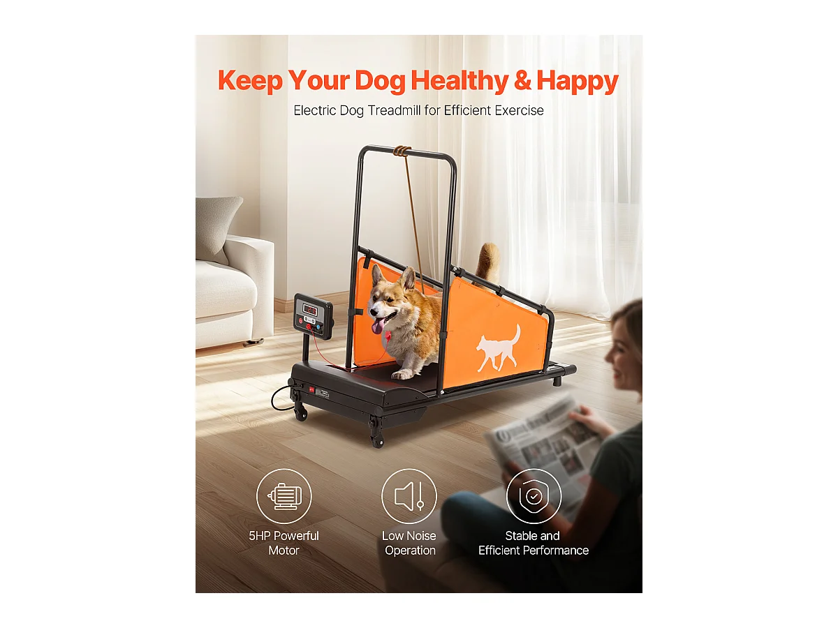 Tapis de Course pour Chiens de Taille Moyenne SucceBuy, Tapis de Course Électrique pour Animaux de Compagnie, pour l'Entraînement d'Agilité