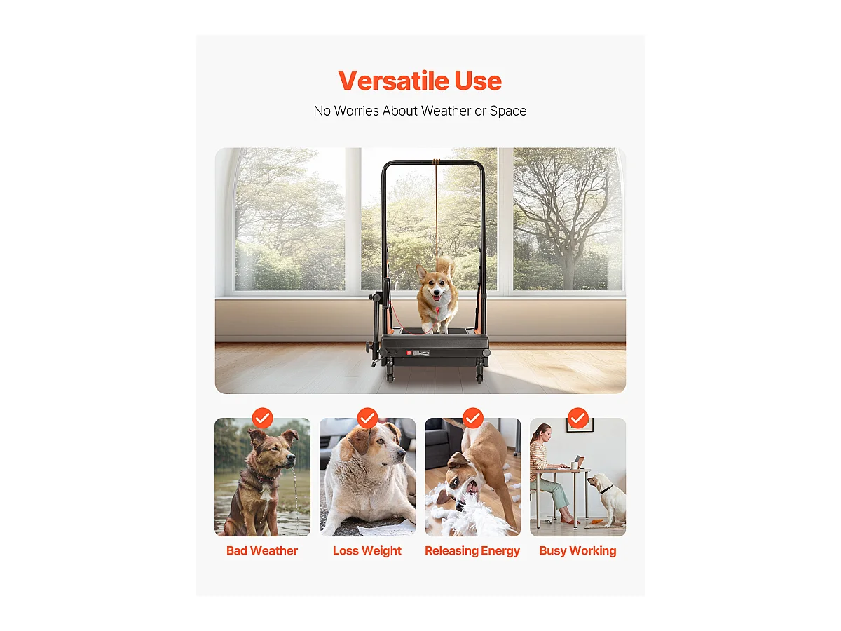 Tapis de Course pour Chiens de Taille Moyenne SucceBuy, Tapis de Course Électrique pour Animaux de Compagnie, pour l'Entraînement d'Agilité