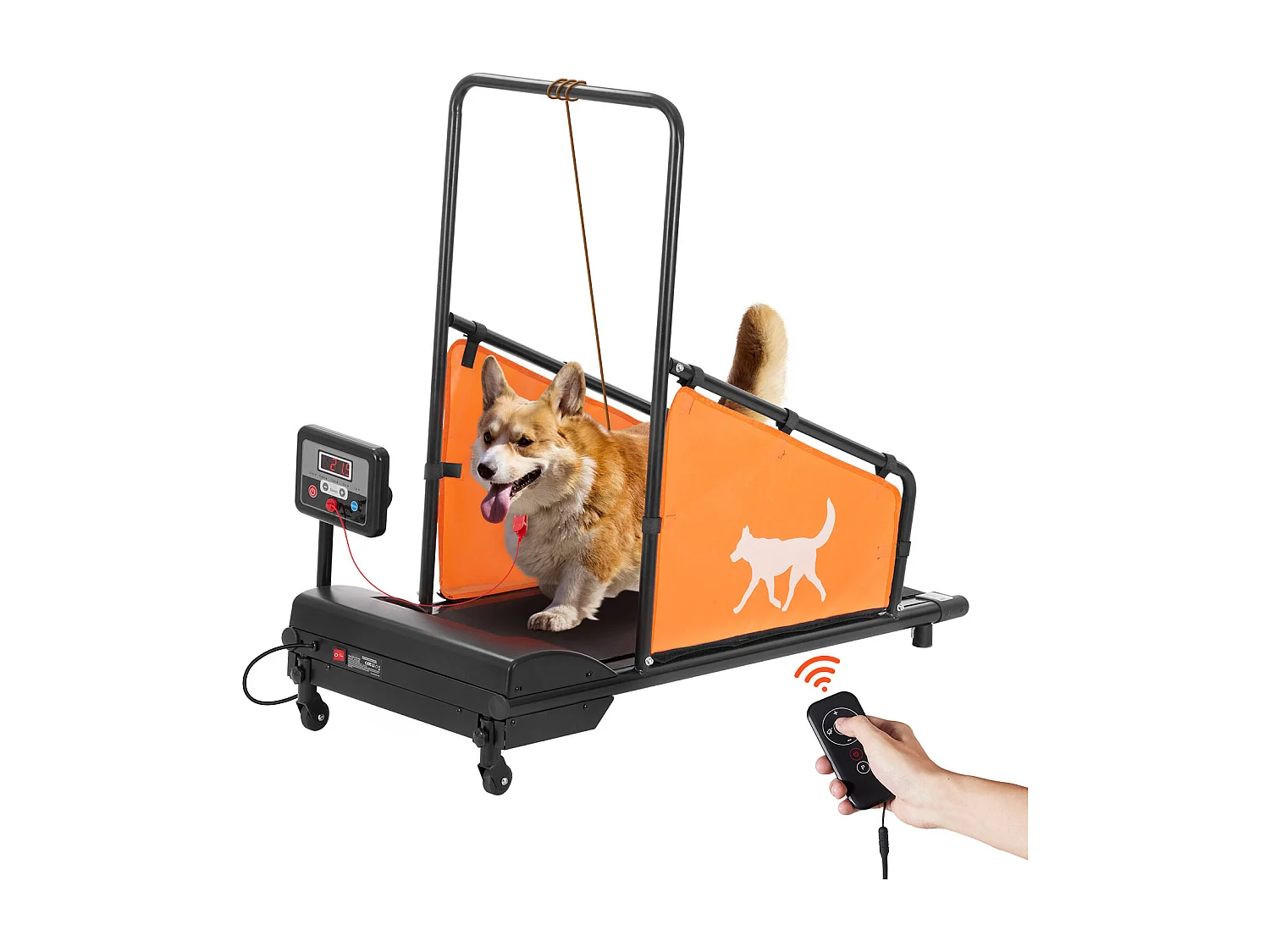 Elektrische Loopband voor Middelgrote Honden SucceBuy, voor Behendigheidstraining