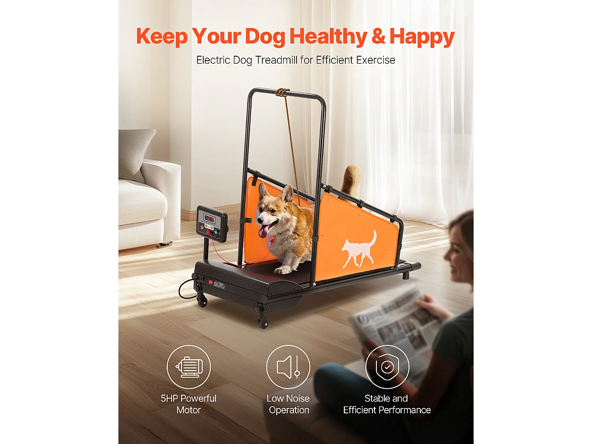 Elektrische Loopband voor Middelgrote Honden SucceBuy, voor Behendigheidstraining