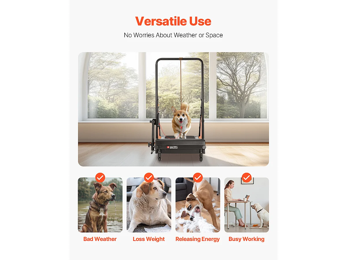 Elektrische Loopband voor Middelgrote Honden SucceBuy, voor Behendigheidstraining