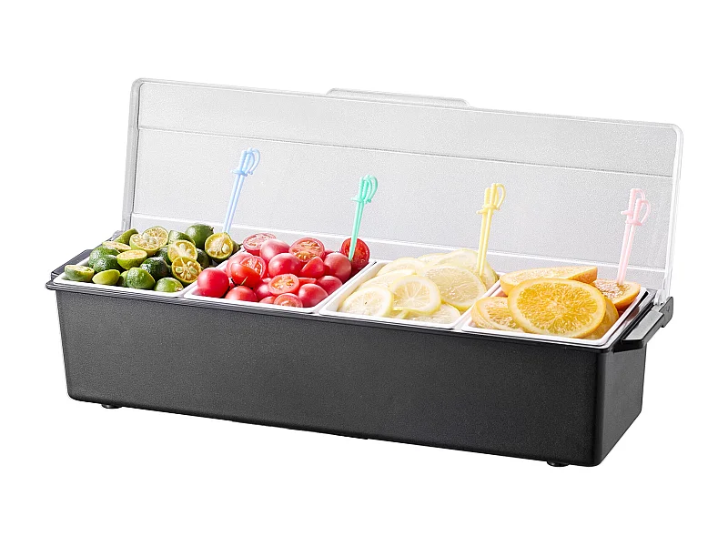 Gefrorener Gewürzverteiler SucceBuy , mit 4 Fächern und Deckel, 50,3x16,5x11,7 cm