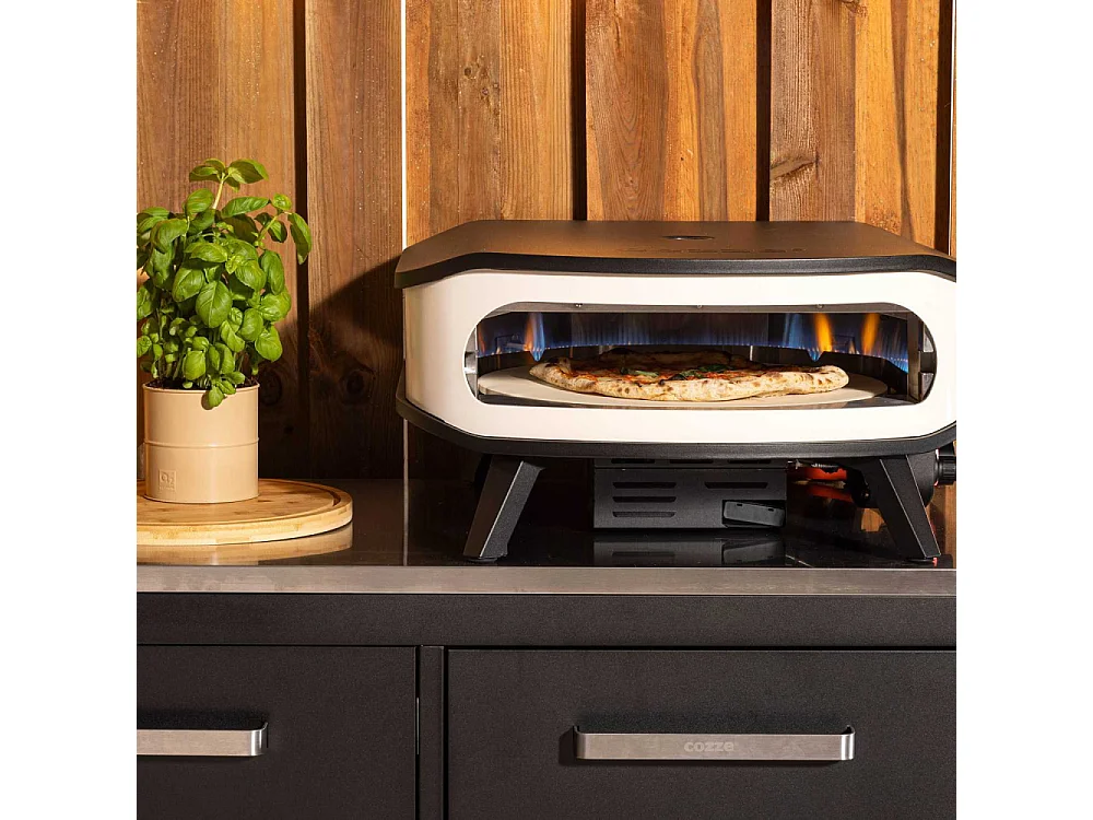 Four à pizza au gaz rotatif avec thermomètre intégré et porte