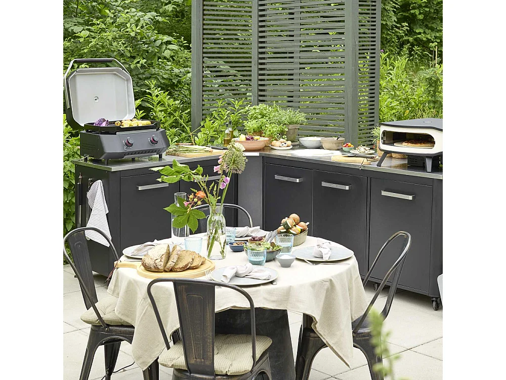 Four à pizza au gaz rotatif avec thermomètre intégré et porte