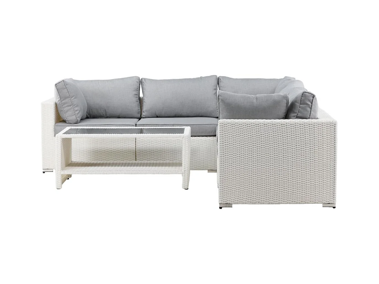 Amazon loungeset 2 delen grijs,wit.