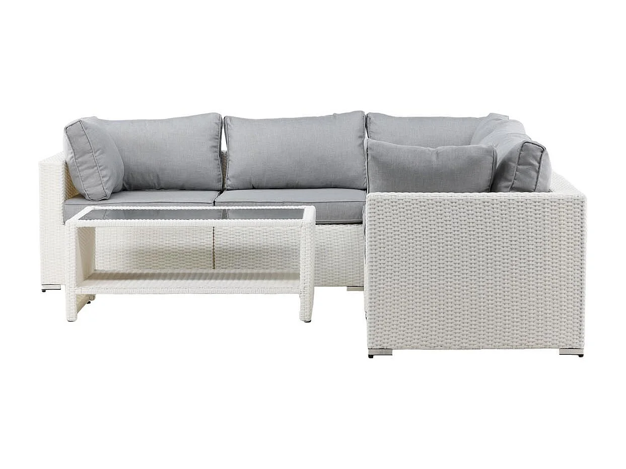Amazon loungeset 2 delen grijs,wit.